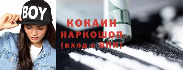 PSILOCYBIN Вяземский