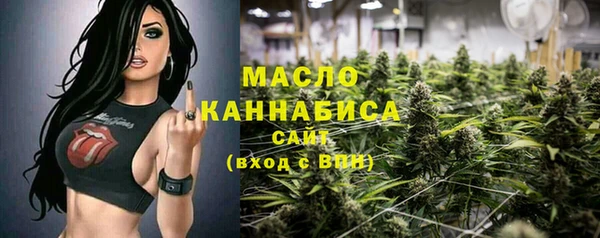 PSILOCYBIN Вяземский