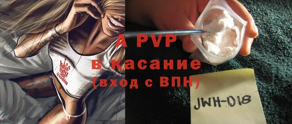PSILOCYBIN Вяземский