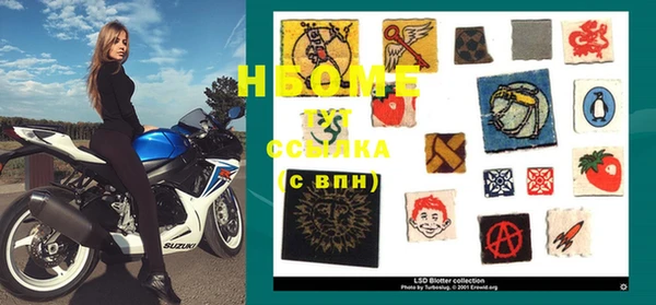 PSILOCYBIN Вяземский