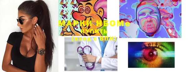 PSILOCYBIN Вяземский