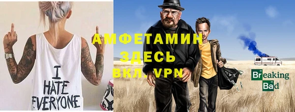 PSILOCYBIN Вяземский
