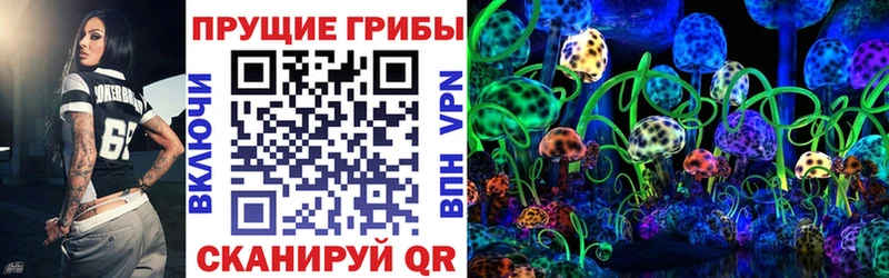Галлюциногенные грибы прущие грибы  Дедовск 